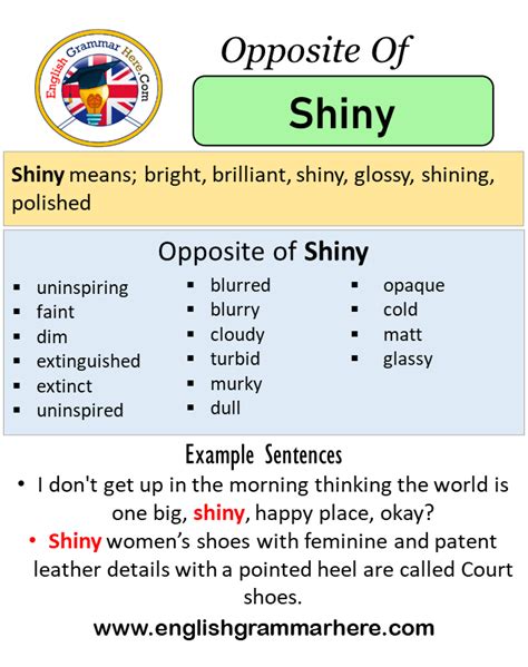 shiny antonyms|shiny adjective.
